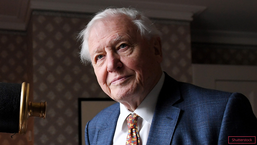 Sir David Attenborough breaks Instagram record 