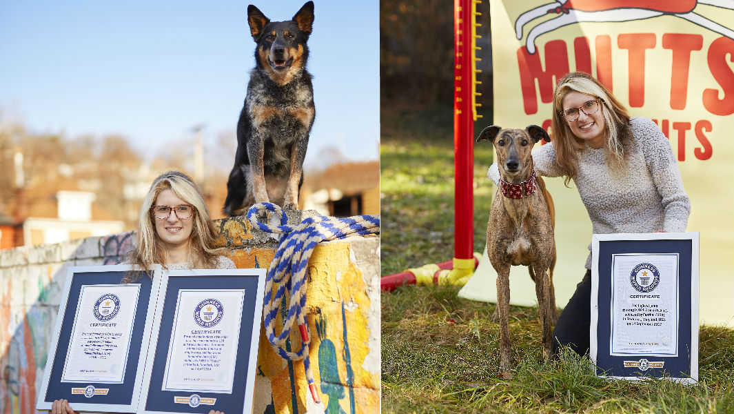 Meet two amazing record breaking dogs