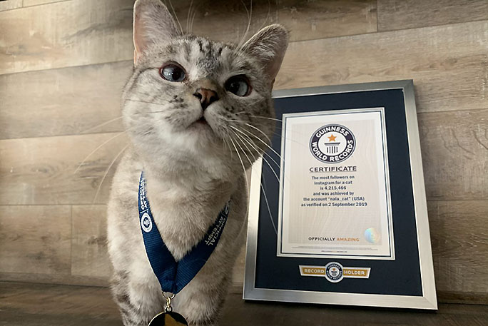 National Pet Day: 8 Adorable Pets Who Have Broken Records | Guinness