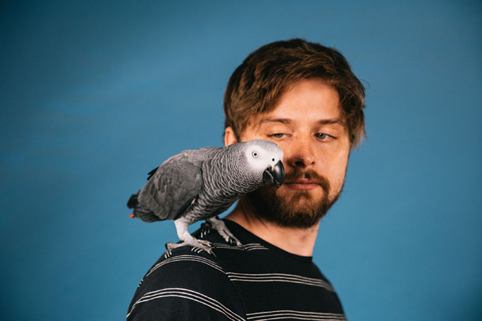 Meet Apollo, the record-breaking parrot who is as smart as a human ...