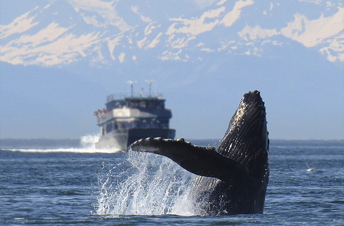 World Ocean Day: Fun facts about the ocean and how you can protect it ...