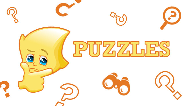 Ally zing puzzles
