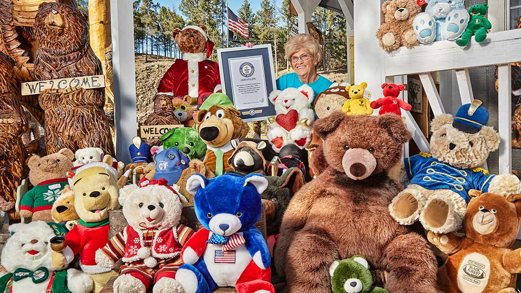 Largest teddy bear collection headline image