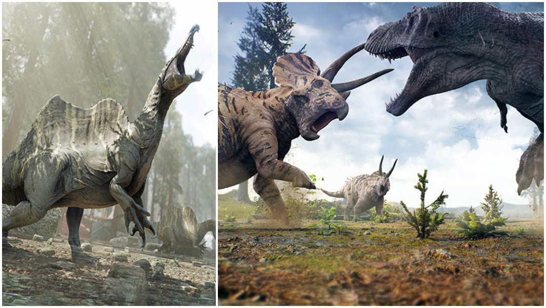 Triceratops vs t rex header