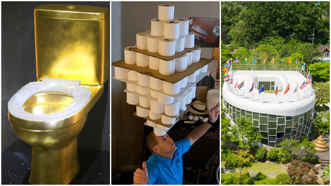 world toilet day split image