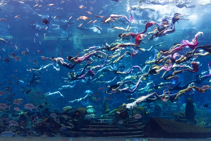 mermaids swimming together