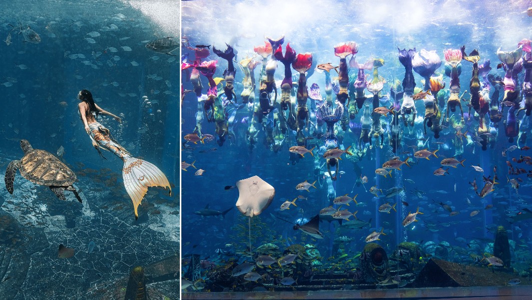 split images of underwater mermaids