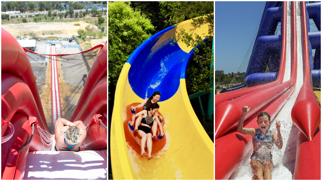 split image longest and tallest waterslide