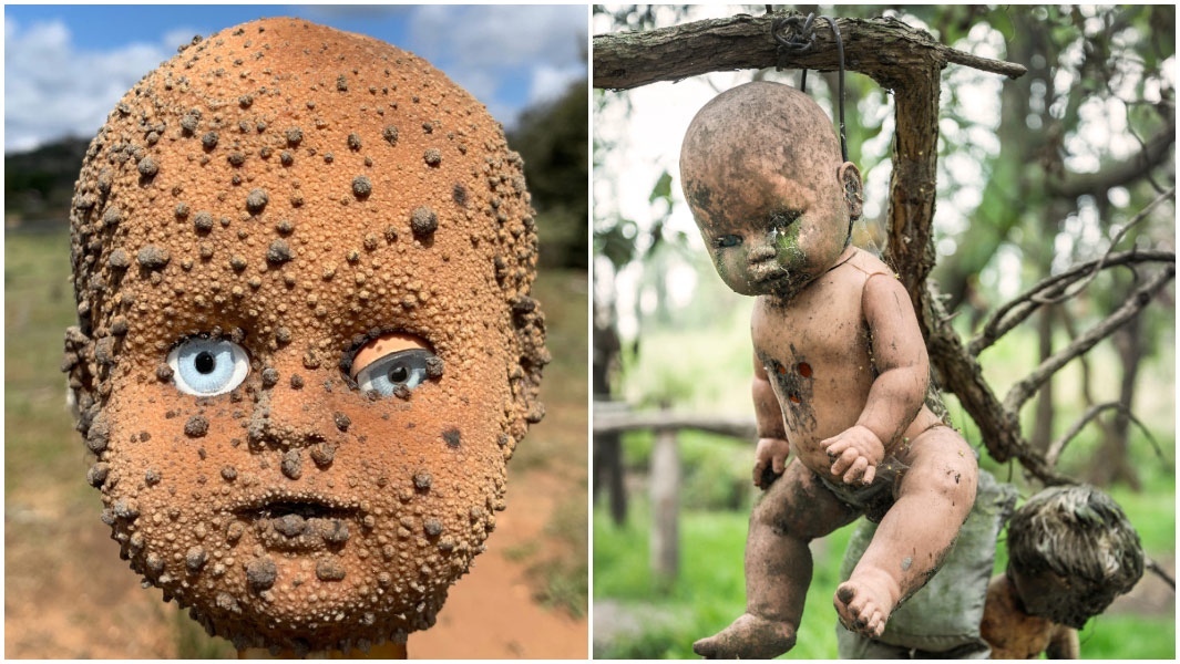 split image of a decayed dolls head and of a strung up doll on the Island of the Dolls