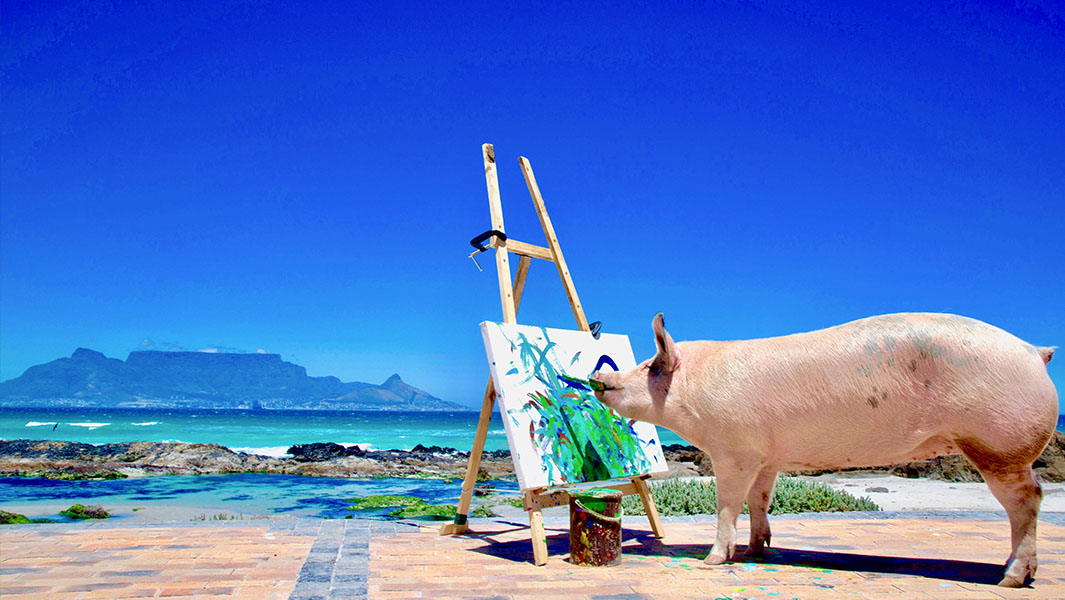 Pigcasso painting at the beach 2