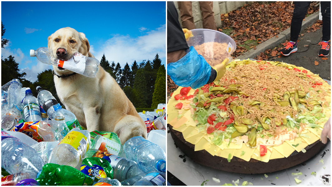 split-image-earth-day-eco-friendly-records-744749