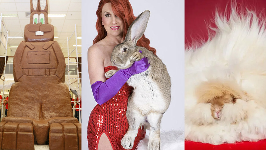 split image Easter records