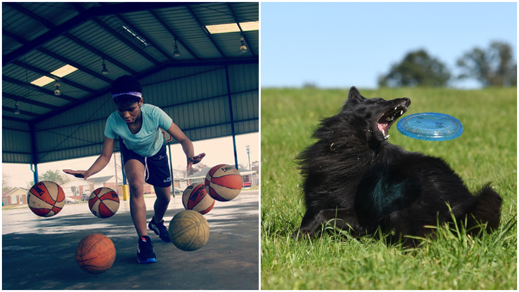 play outside day split image zaila bouncing basketballs and dog catching frisbee