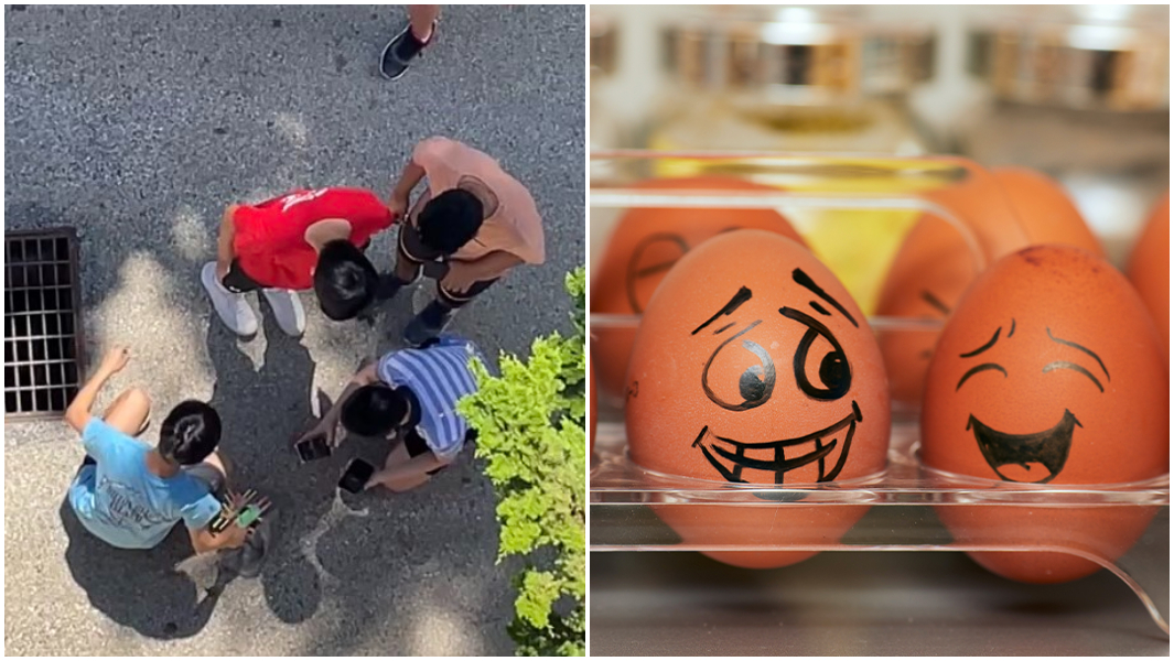 split image egg drop challenge
