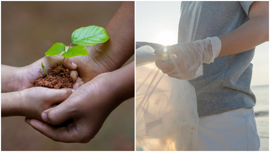 split image two hands holding plant litter picking