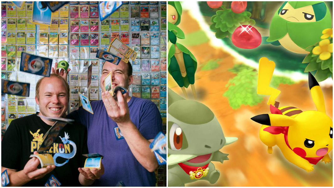 split image pokemon card collection and pokemons