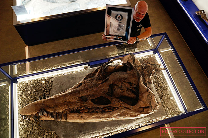 Dr Steve Etches with the record-setting Pliosaurus skull and Guinness World Records certificate