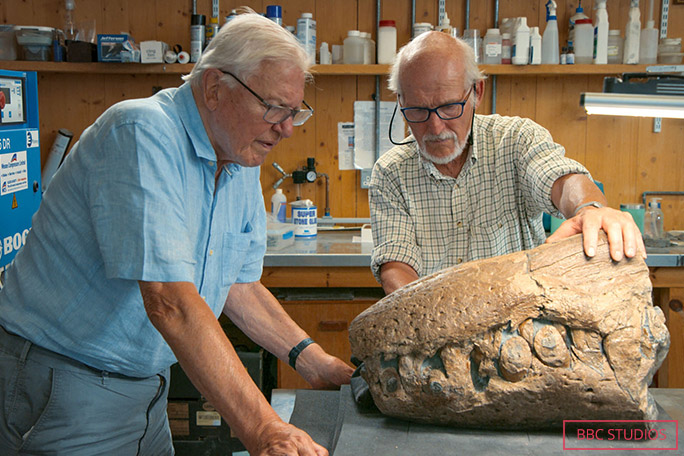 Sir David Attenborough and Dr Etches examine the Pliosaurus snout, which initiated the skull's discovery