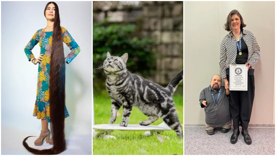 split image longest hair cat with skateboard height difference couple