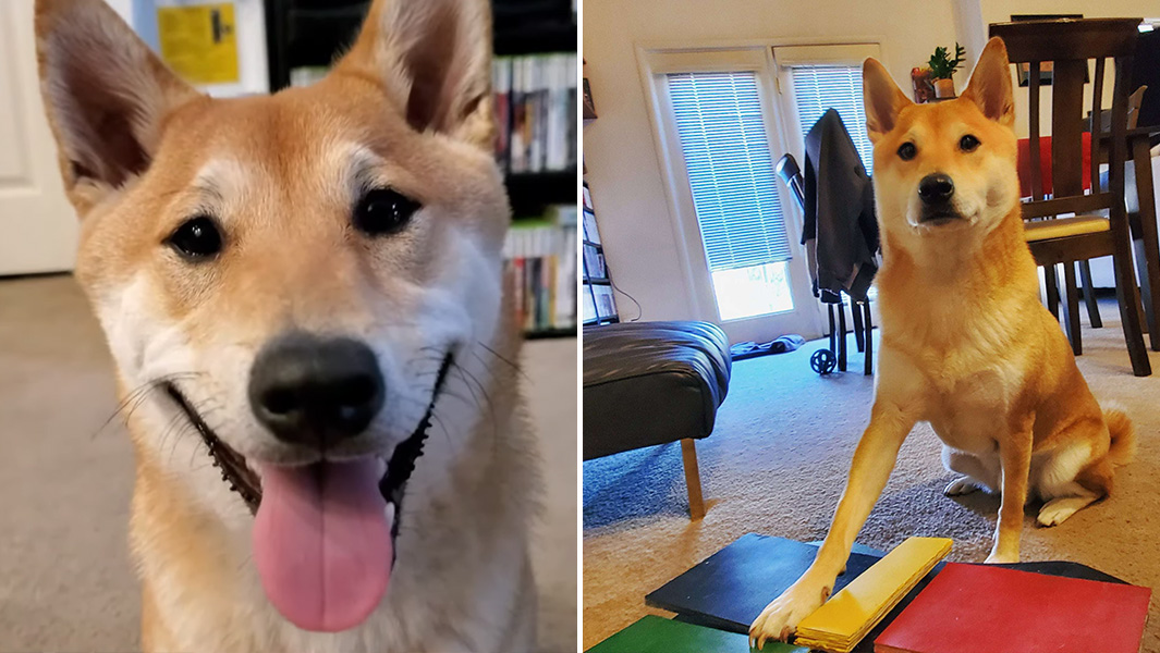 Peanut Butter header