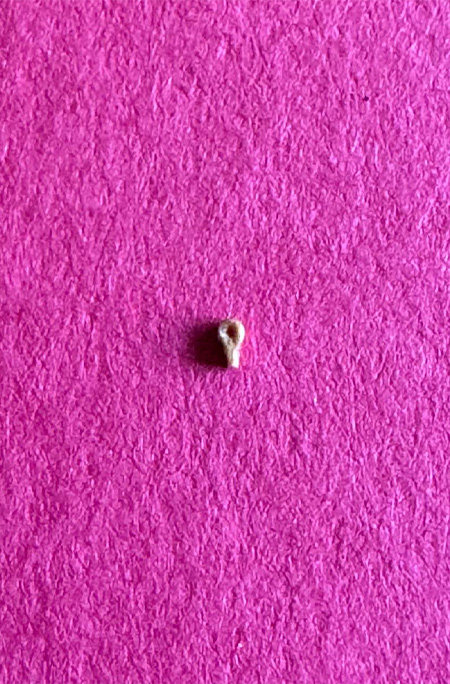 smallest spoon 