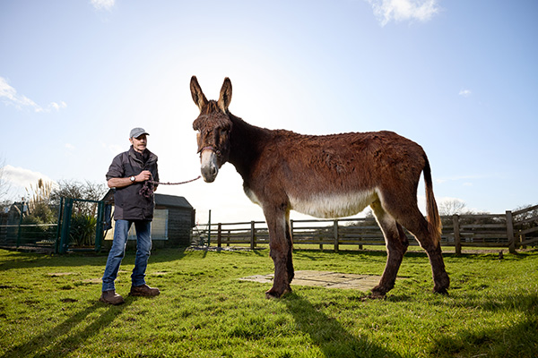 donkey and owner