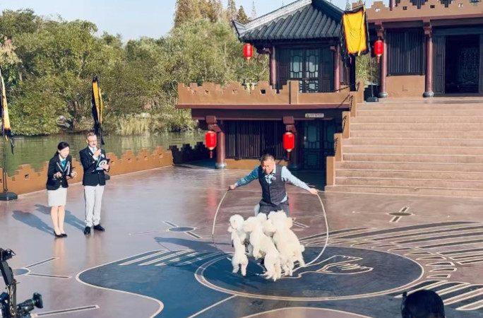 owner and dogs skipping