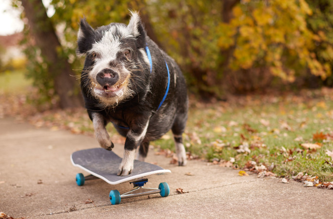 Norbert skating looks at camera