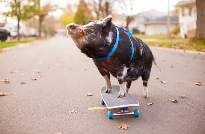 Norbert skating and smiling