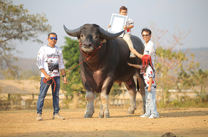 King Kong with certificate