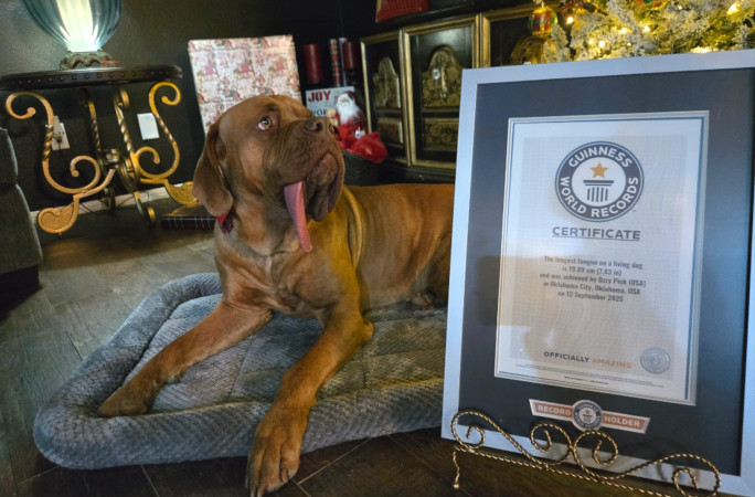 ozzy with certificate