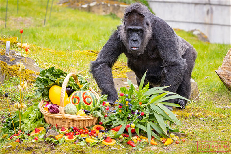 Fatou with fruit basket