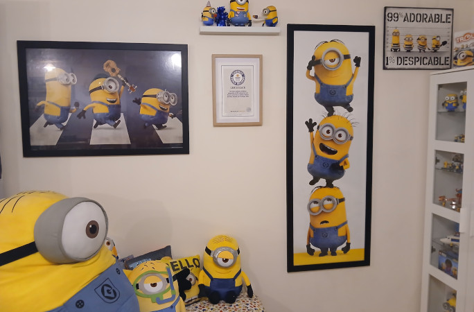 Minion collection with record certificate