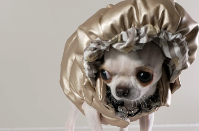 Pearl with bonnet