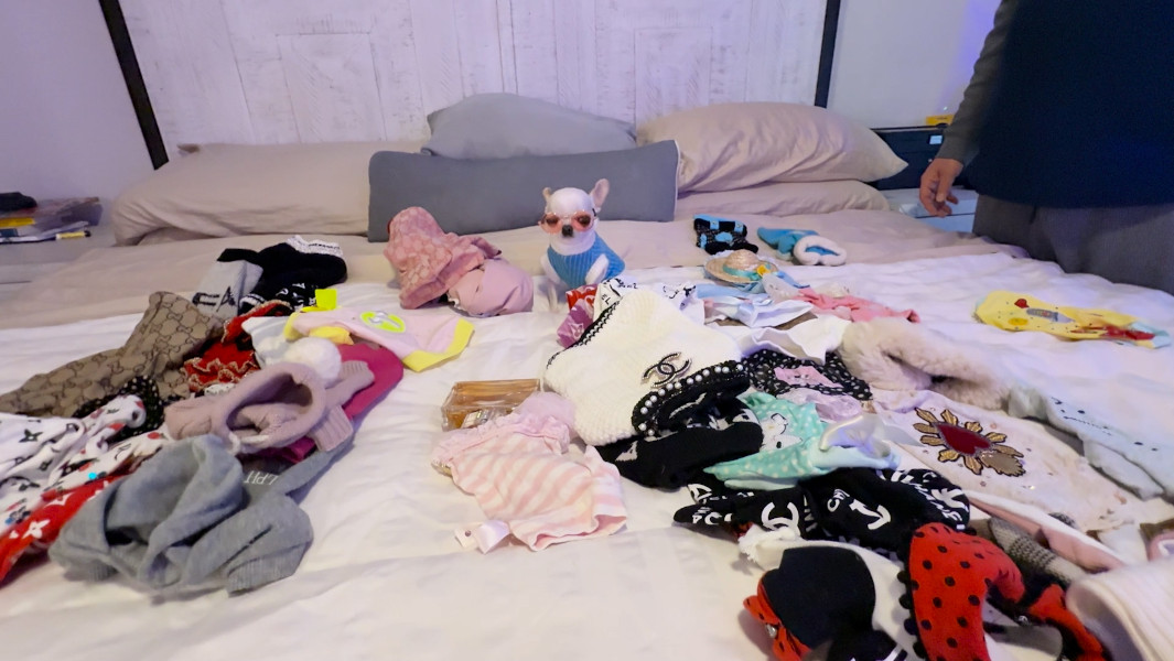 Pearl with selection of clothes
