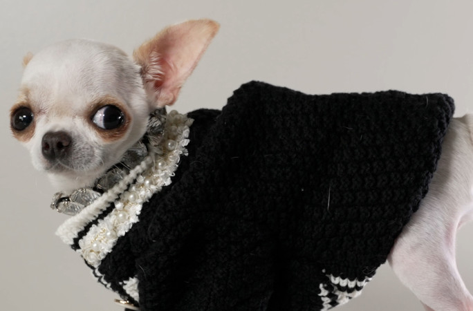 Pearl dressed in chanel