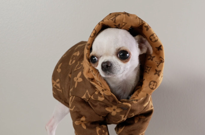 Pearl in Louis Vuitton