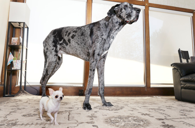 Reggie and Pearl standing