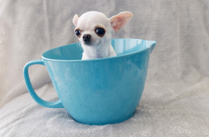 Pearl inside cup