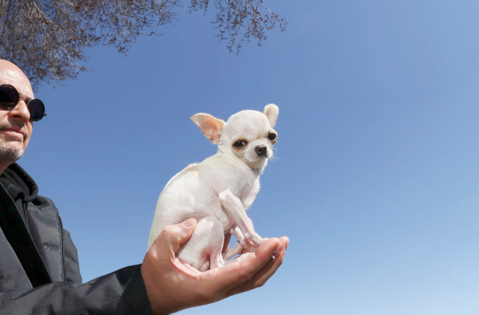 Pearl on owner's hand