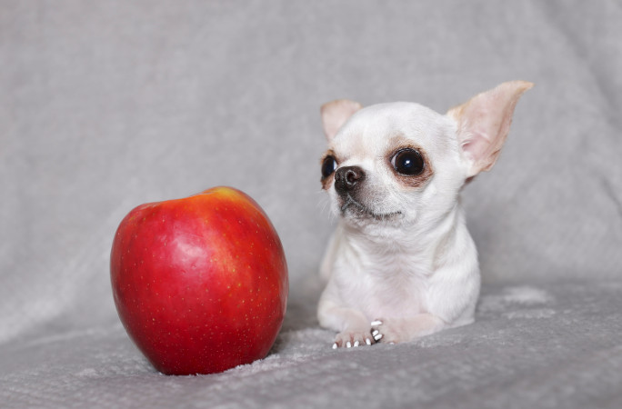 Pearl with apple