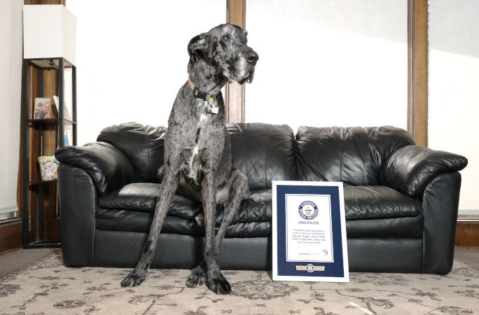 Reggie with certificate
