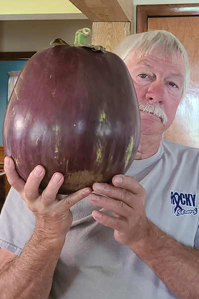 Heaviest eggplant held by record holder
