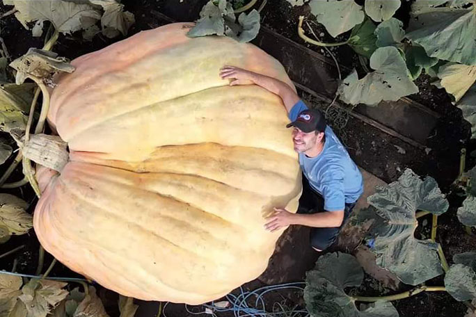 Heaviest pumpkin and record holder
