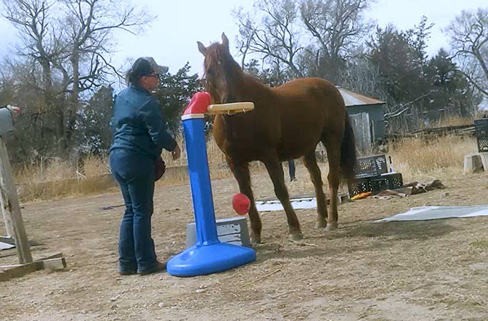Rusty dunking a basketball