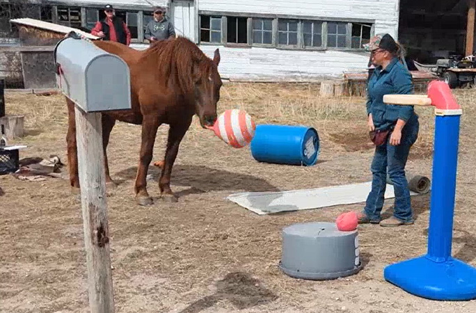 Rusty throwing a ball
