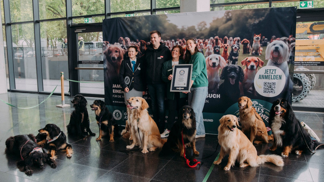 Over 100 doggies sat at the same time for an adorable record ...