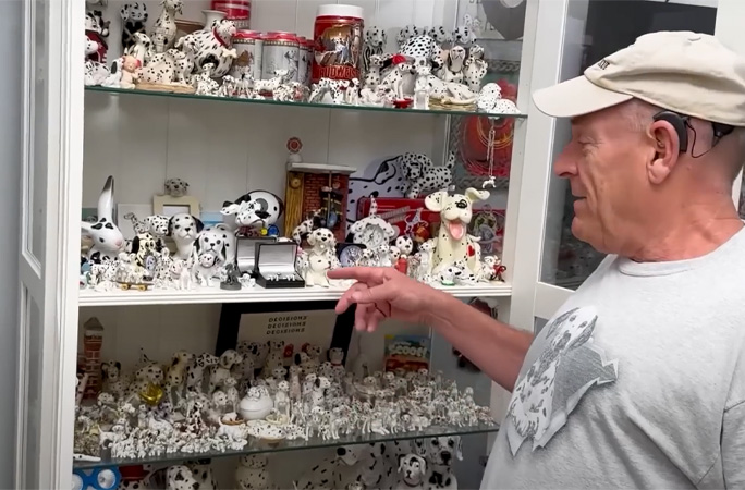 Dalmatian collection