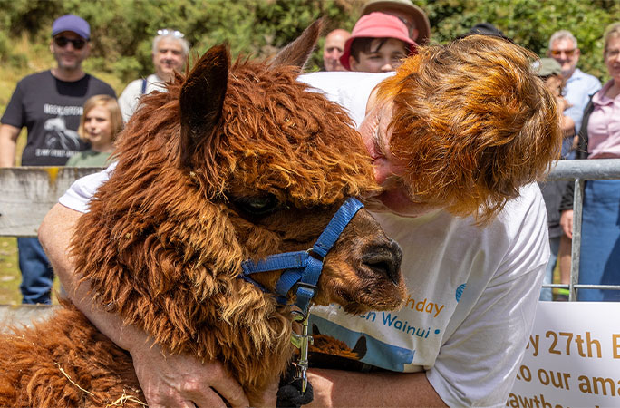 Alpaca and Vicki embrace