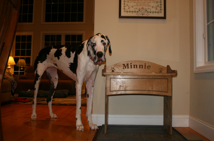 minnie standing